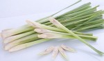 Thực hư chuyện uống nước sả trị bệnh ung thư
