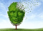 Phòng ngừa Alzheimer bằng những thói quen tốt mỗi ngày