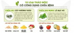10 thảo mộc chữa bệnh thường gặp bạn nên nhớ