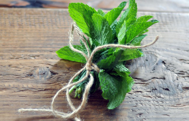 1 nắm lá bạc hà đánh bay mụn trên da