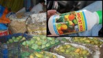 Thuốc thúc chín trái cây, độc hay không?