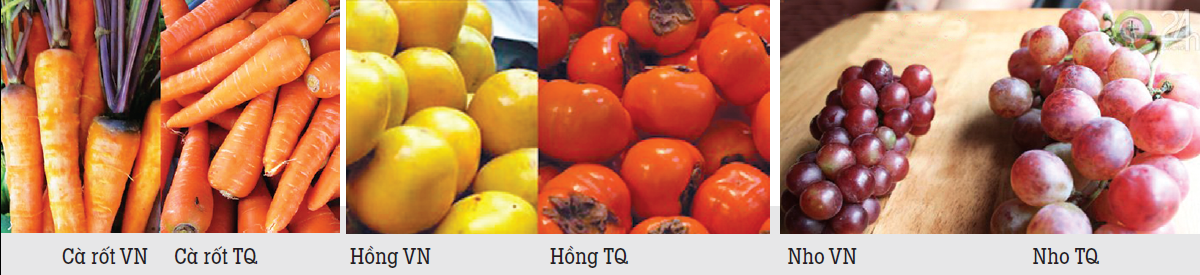 Nhận biết trái cây Trung Quốc: không khó!