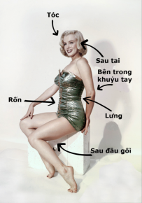 7 vị trí xịt nước hoa lưu hương tốt nhất