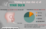 Những điều cực thú vị về tinh dịch không phải ai cũng biết