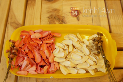 lam hoa cuc handmade