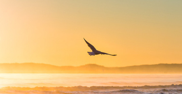 sống gió cuộc đời